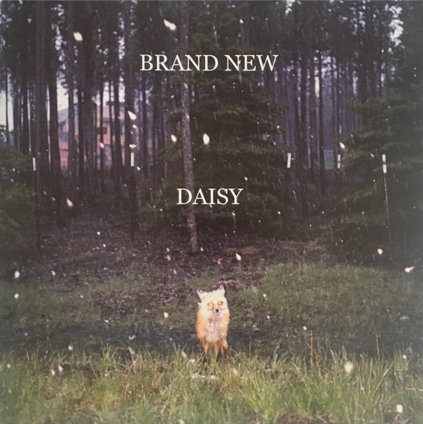 Daisy